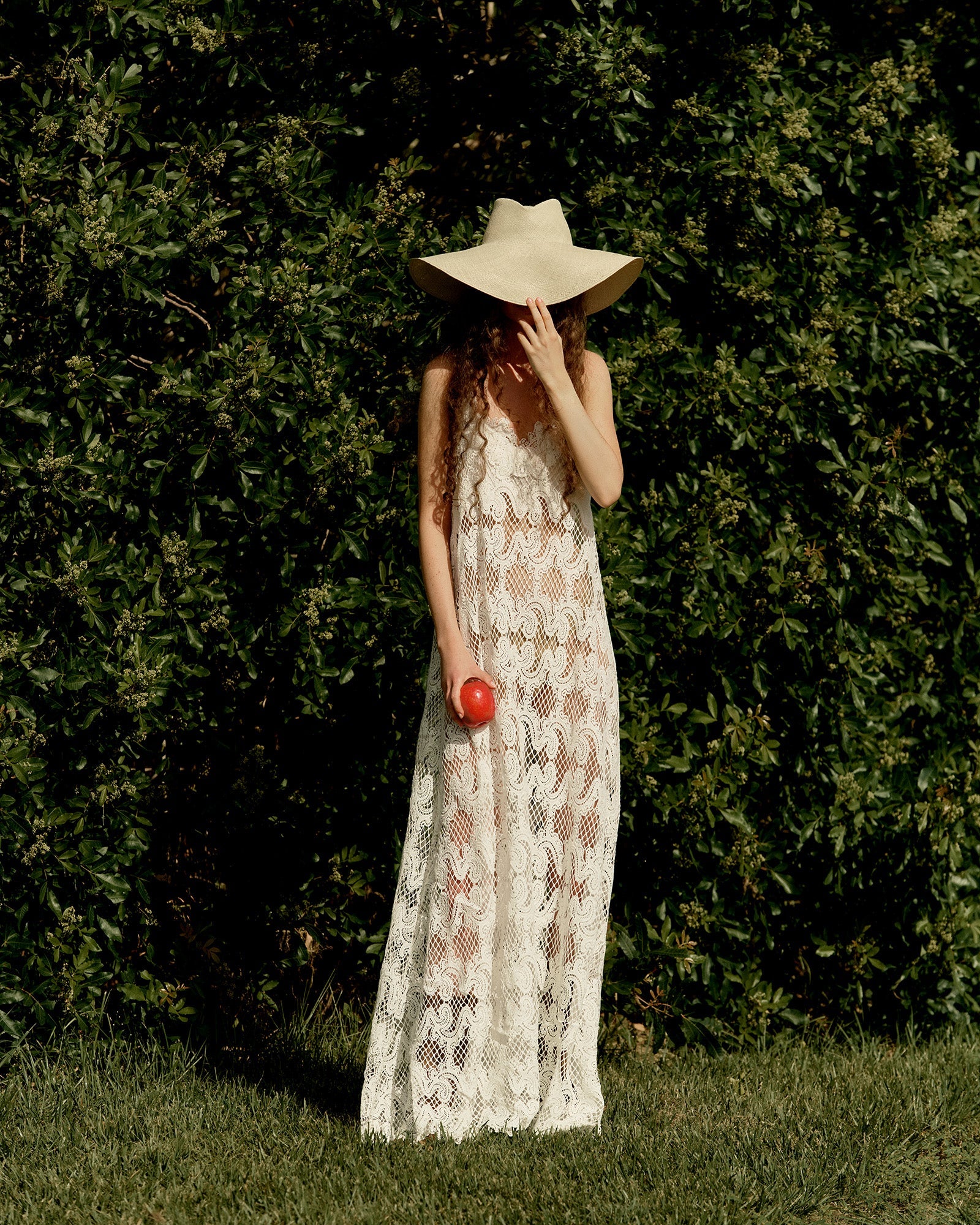 eliou lace dress Paula Dress liou
