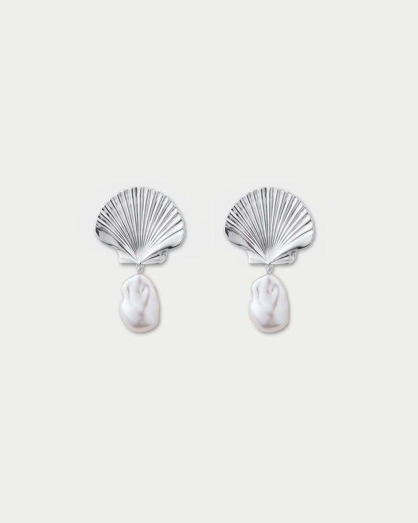 Scallop Earrings