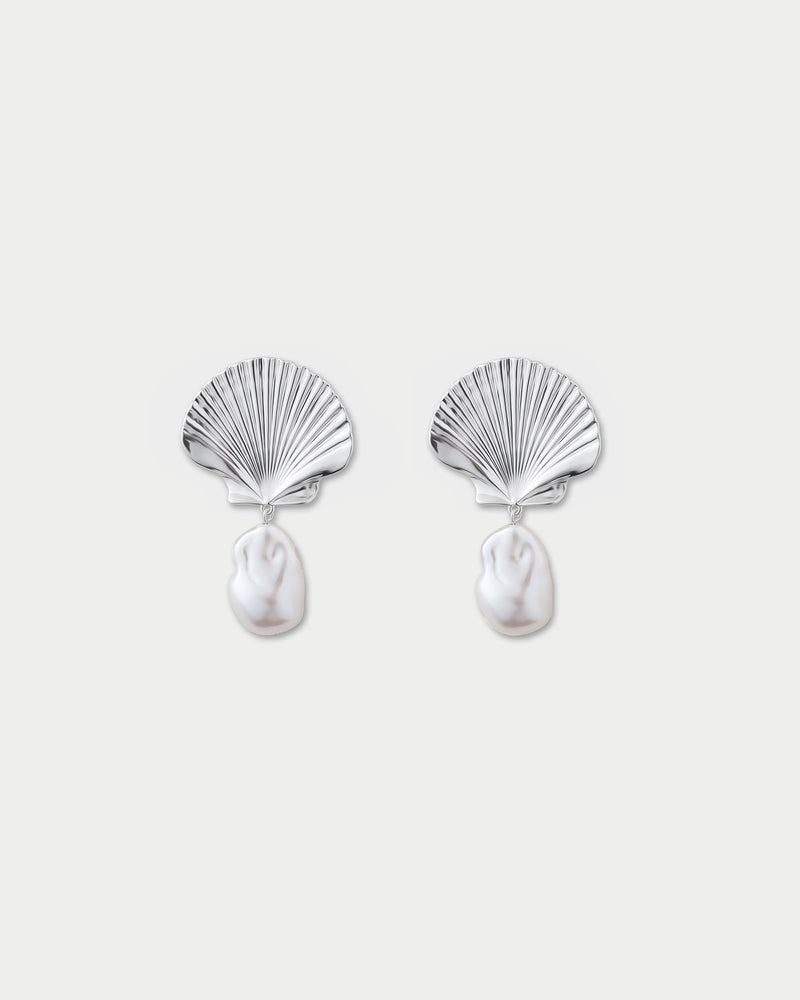 Scallop Earrings